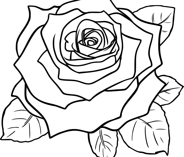 Bibit Buah Biwa