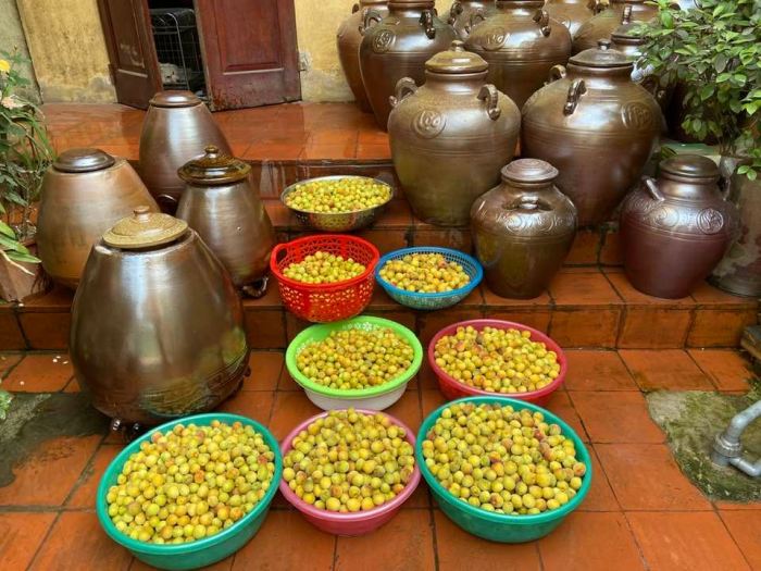 Harga Bibit Durian Duri Hitam