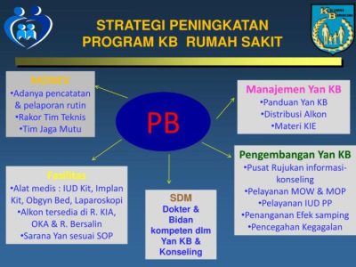 Biji Sawit Unggul