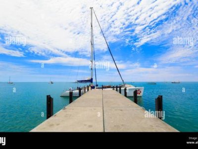 Ayam Petelur Tidak Produksi di Pasilambena, Kepulauan Selayar