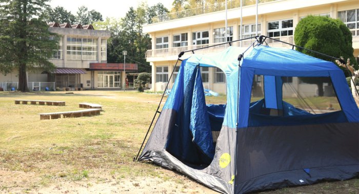 Benih Tomat Betavila