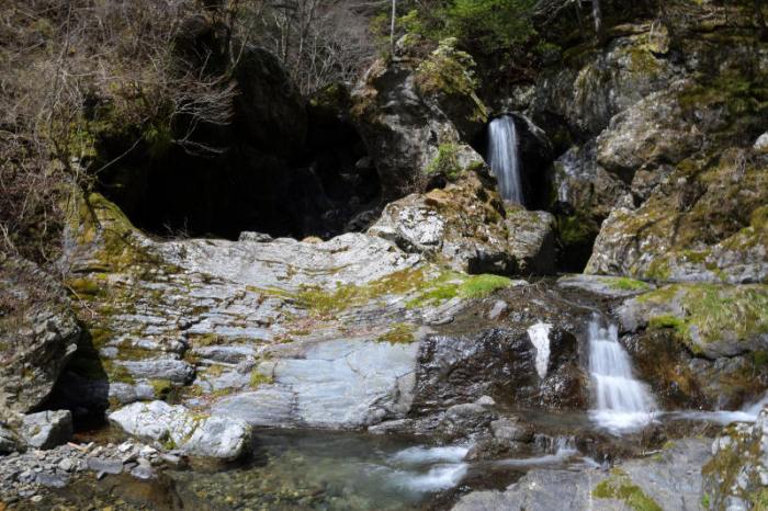 Harga Cabai Hari Ini Medan