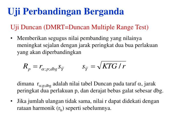 Benih Kentang