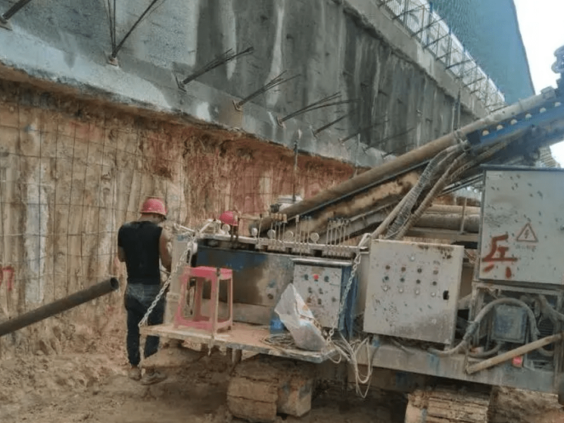 Bibit Terong Ungu Antaboga