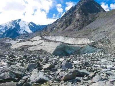Bibit Padi Unggul Anakan Banyak